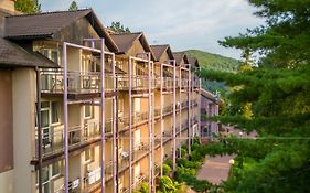 Solina & Spa Solina (podkarpackie) 3*